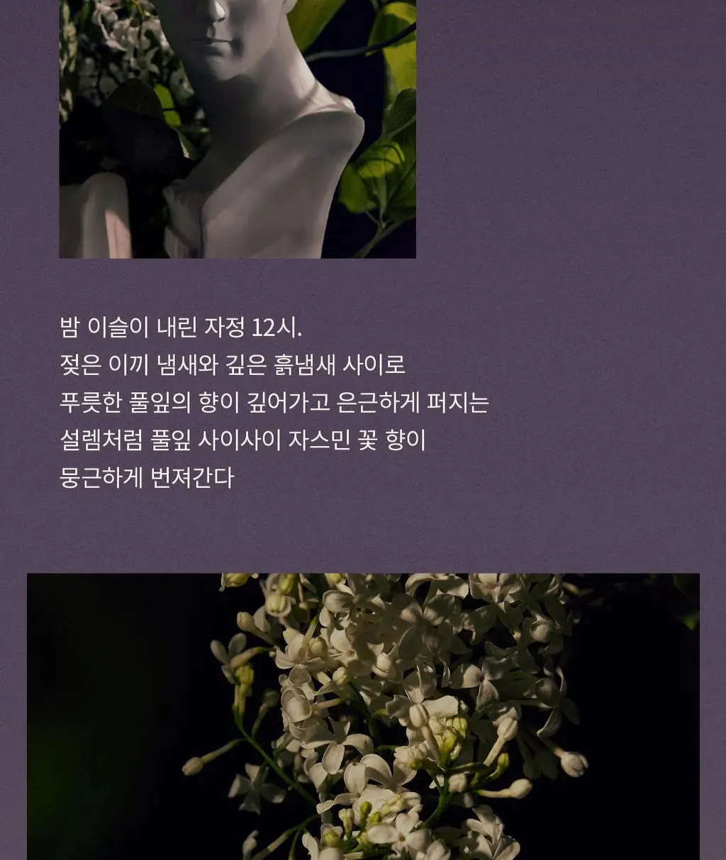 호텔도슨 디퓨저 자르댕미드나잇 250ml [아로마틱 우드 향] 상세페이지 8